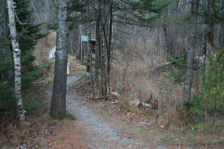 Bog Trailhead